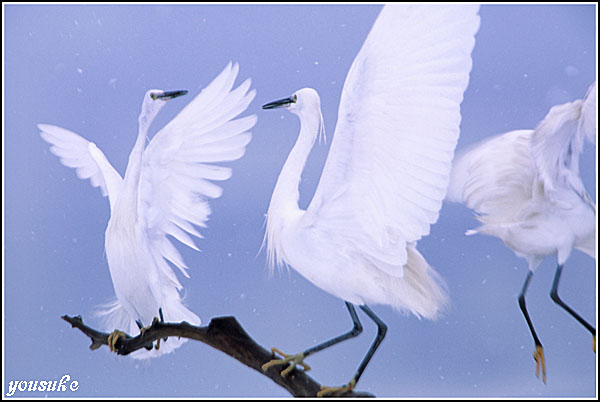 �t�H�g�R���e�X�g�� '02