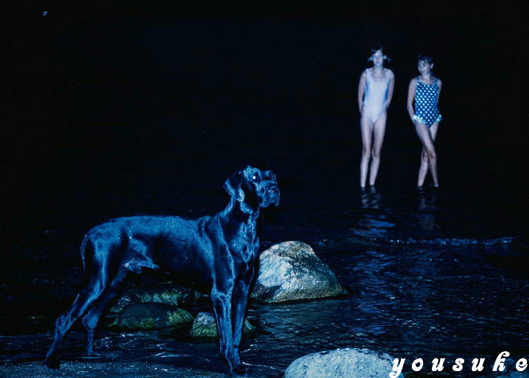 �j�b�R�[���o�b