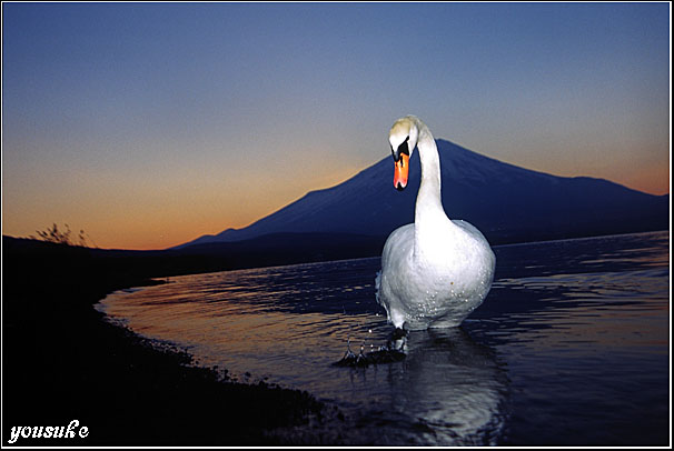 �t�H�g�R���e�X�g��'04