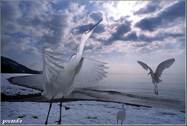 �t�H�g�R���e�X�g��'04