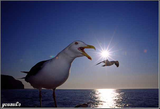 �t�H�g�R���e�X�g��'04