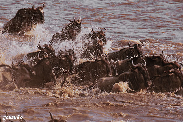 �k�[�n�́i�R�j