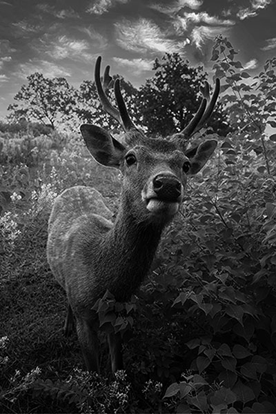 ���I����