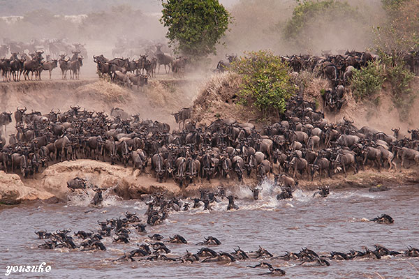 �k�[�n�́i�P�j