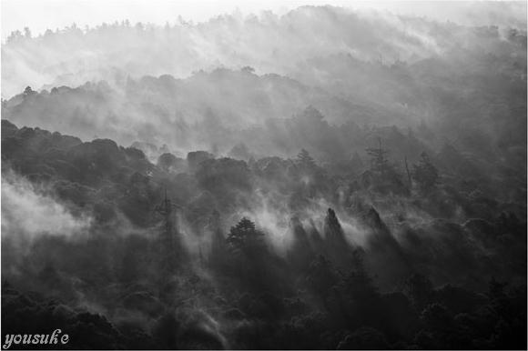 �j�b�R�[���@�l�C�`���[