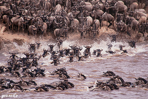 �k�[�n�́i�Q�j