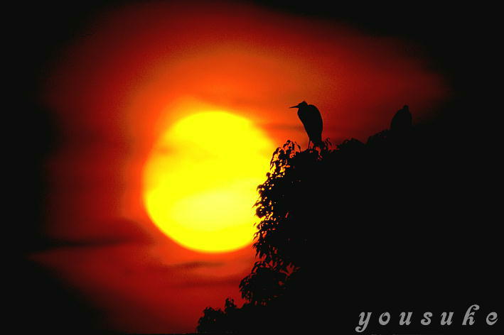 �֐��l�C�`���[