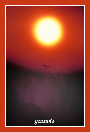 �Ԓ�����