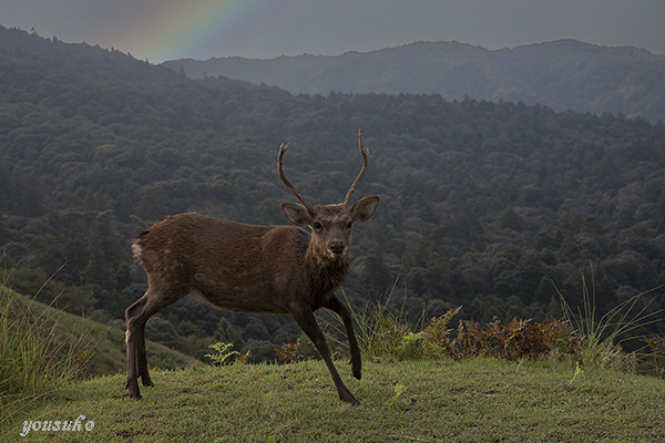 ��23��T�����E�h�E�j�b�R�[��