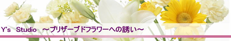 ヘッダーイメージ